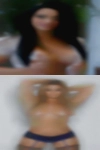 Pussy palms